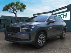 SKODA Kodiaq 2.0 TSI Dynamic 4x4 - Autolerch AG Rothrist